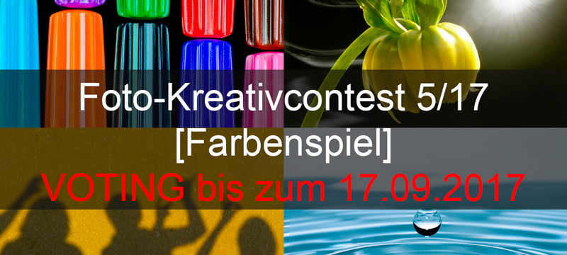 Voting Foto-Kreativ-Contest Voting Foto-Kreativ-Contest