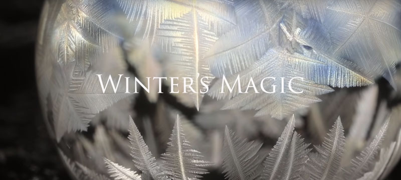 Die Magie des Winters – gefrorene Seifenblasen