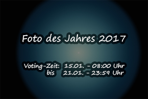 Voting "Foto des Jahres" Voting "Foto des Jahres"