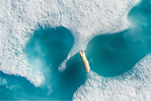 SkyPixel – ausgezeichnete Drohnenfotos SkyPixel – ausgezeichnete Drohnenfotos