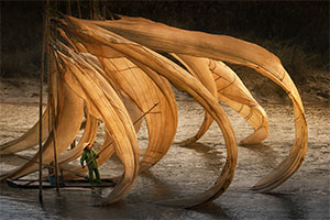 Fotos aus den Listen der Sony World Photography Awards 2018 Fotos aus den Listen der Sony World Photography Awards 2018