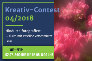 Kreativ-Contest 04/18 "Hindurch ... durch mit Vaseline verschmierte Linse" Kreativ-Contest 04/18 "Hindurch ... durch mit Vaseline verschmierte Linse"