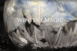 Die Magie des Winters – gefrorene Seifenblasen Die Magie des Winters – gefrorene Seifenblasen