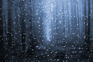Photoshop CC: Schneeflocken fallen lassen Photoshop CC: Schneeflocken fallen lassen