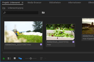 Updates für Premiere Pro CC und After Effects CC Updates für Premiere Pro CC und After Effects CC