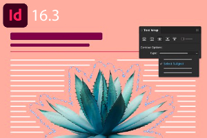 Adobe InDesign 2021 (v16.3) Adobe InDesign 2021 (v16.3)